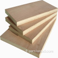 16 mm okoume face en bois dur en bois dur commercial